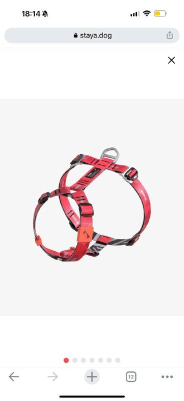 шлейка и поводок для собак Staya Dazzle Pink размер S