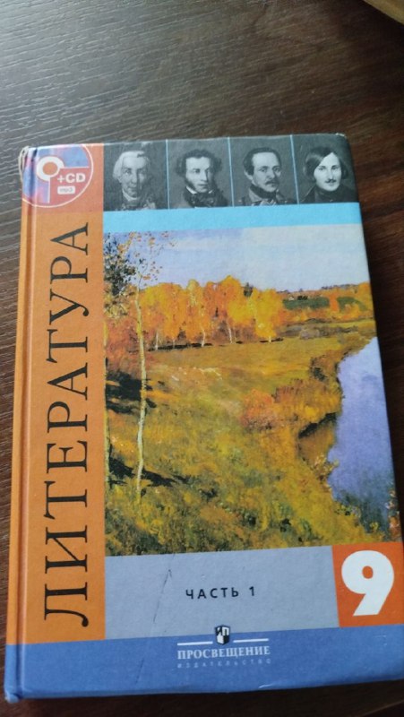 Учебник по литературе для 9 класса в 2 частях 2