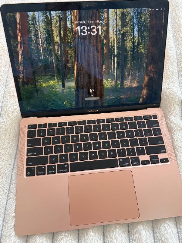 MacBook Air M1 8GB 256GB 1