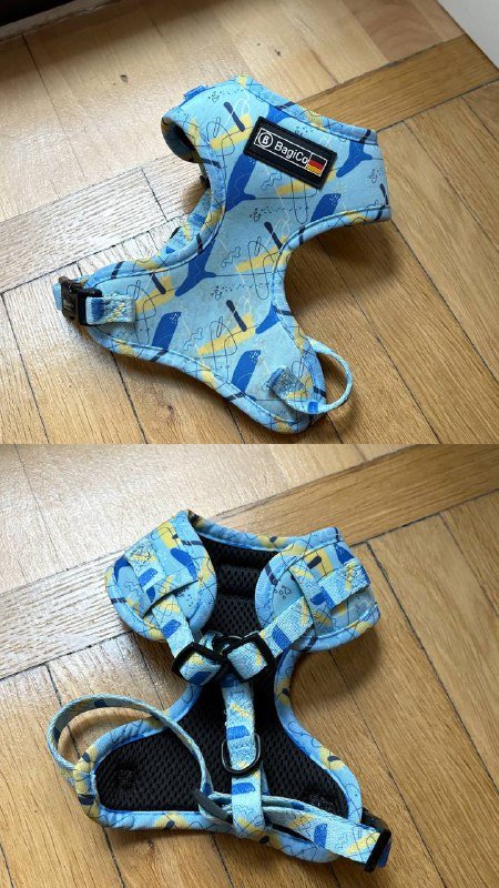 Переноска-рюкзак, шлейки, ошейники, игрушка, когтерез, расческа для собак и кошек 3