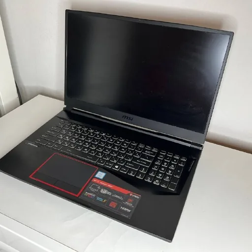 Игровой ноутбук MSI GE75 Raider 8RF