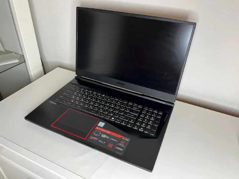 Игровой ноутбук MSI GE75 Raider 8RF 1