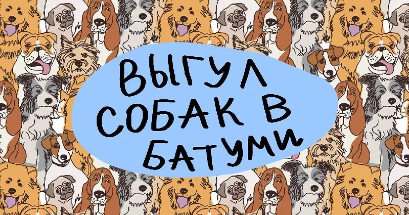 Выгул собак в Батуми