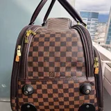 Travel bag with 2 wheels 2