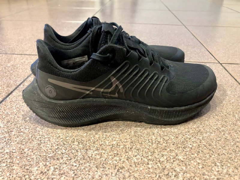 Беговые кроссовки Nike Air Zoom Pegasus 39 Shield 2