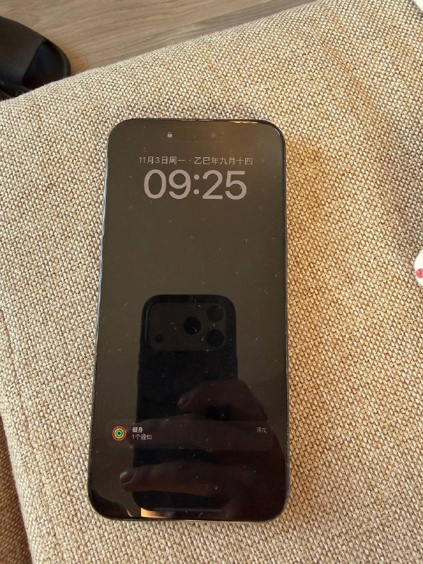 iPhone 16 Pro Max 256 ГБ