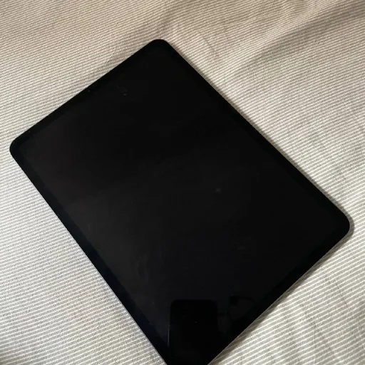 iPad Pro 11 256GB