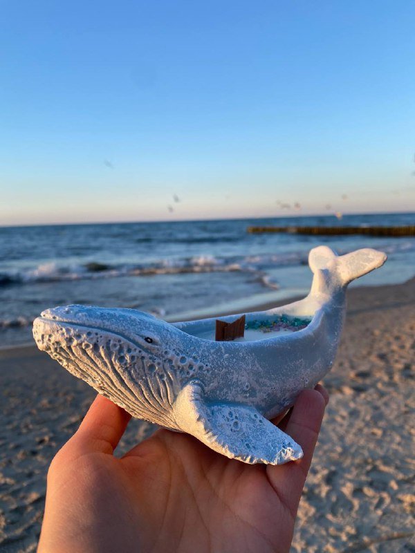 Бюстгальтер, формочки для печенья, шар для хомячка, силиконовая форма для льда, ароматическая свеча 7