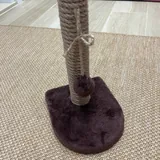 Когтеточка, средства для собак, когтерез, заводная игрушка 1