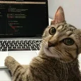 Разработка сайтов, Telegram-ботов и мини-приложений
