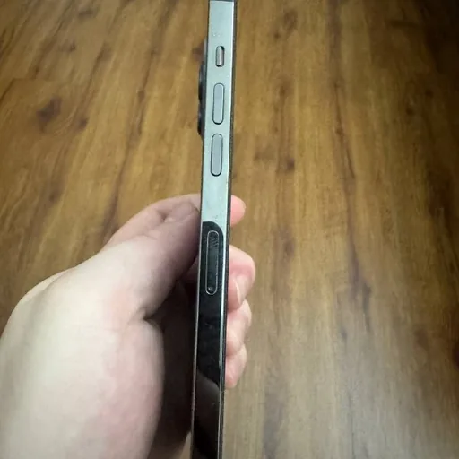 iPhone 12 Pro Max 256 ГБ