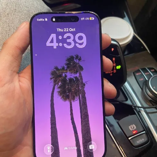 iPhone 16 Pro 256 GB Black Titanium