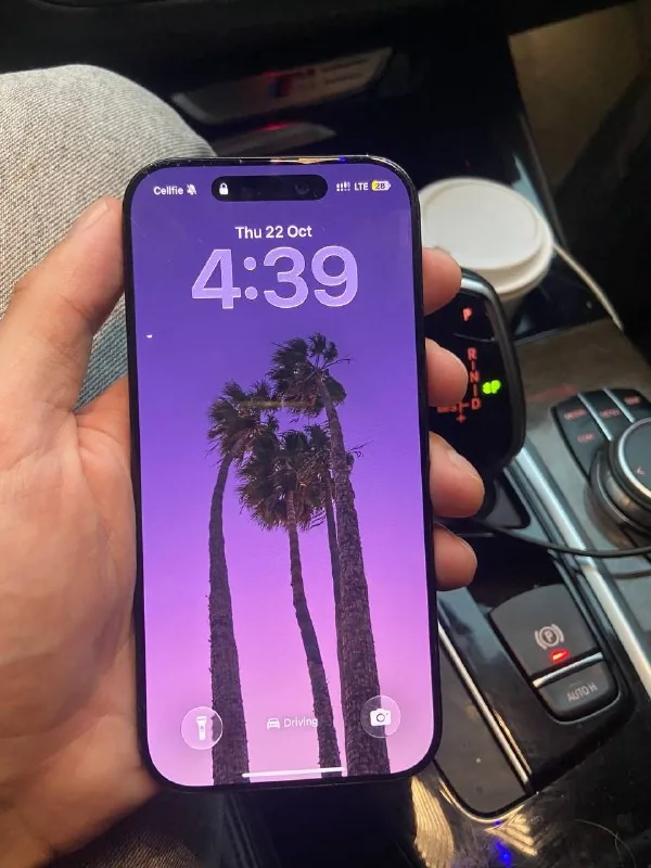 iPhone 16 Pro 256 GB Black Titanium 1