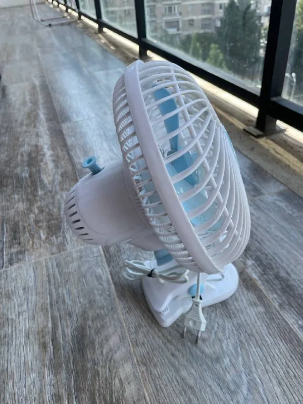 Small fan 1