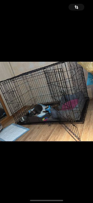 Клетка для собак 3