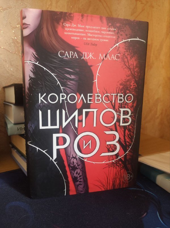 Книги Джезебел Морган, Ли Бардуго, М. Ю. Лермонтов, Ханна Грейс, Шеннон Чакраборти, Сара Дж. Маас 5