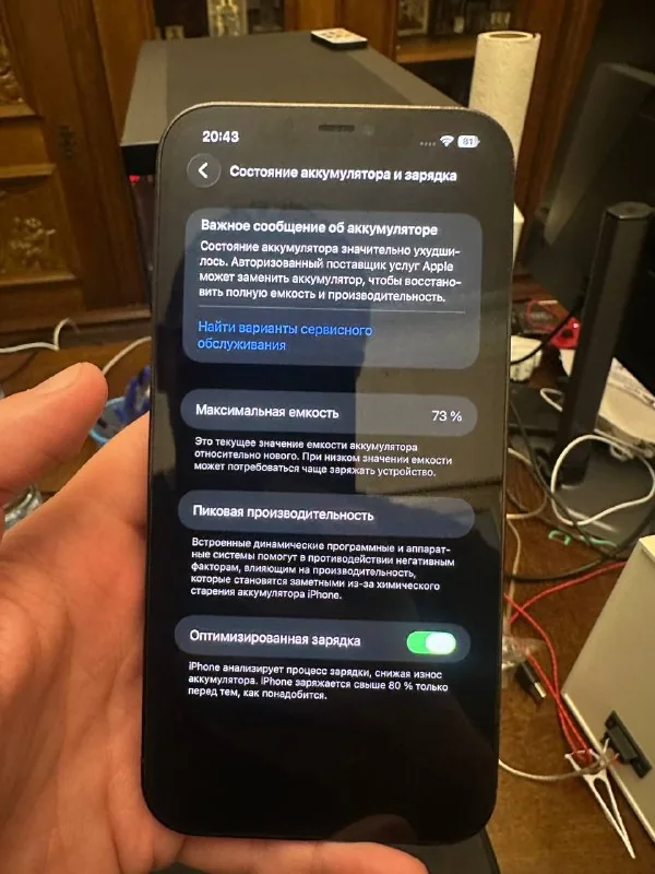 iPhone 12 Pro Max, чехол Pitaka 1