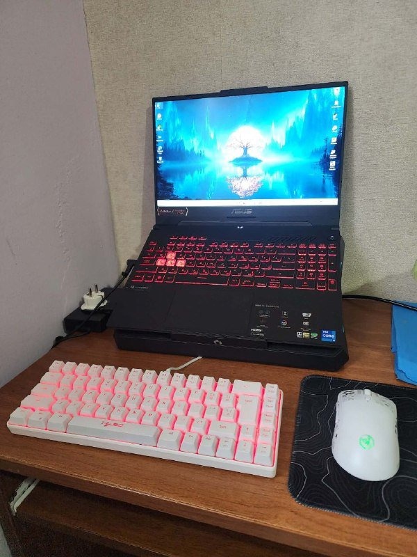 Asus Tuf 15 i7 12700 RTX 3050 16GB RAM