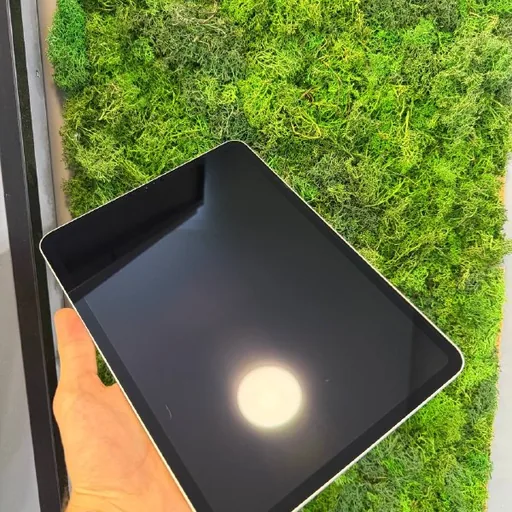 iPad 11 256GB Cellular