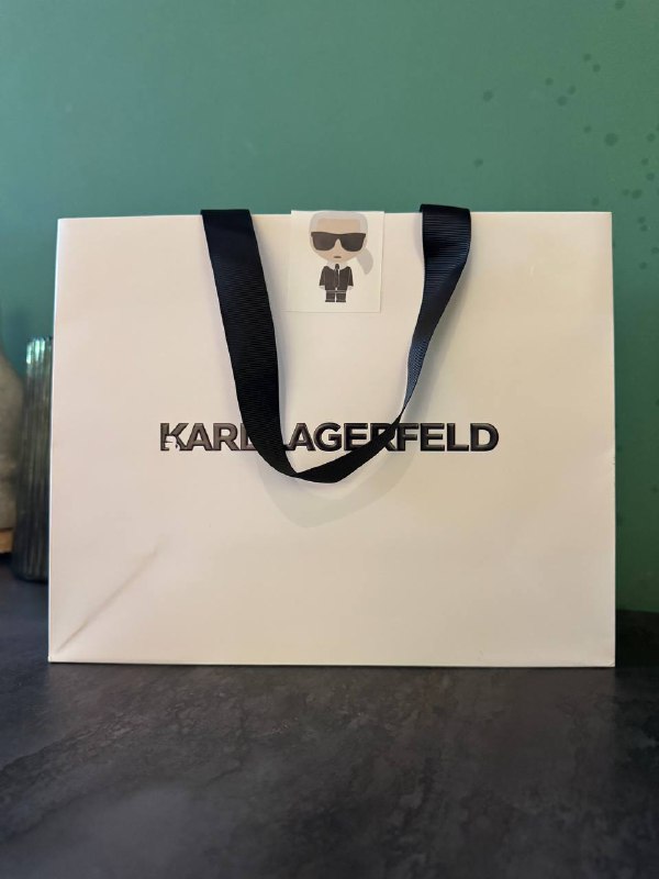 Сумка Karl Lagerfeld из натуральной кожи 5