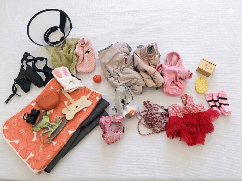 Одежда, обувь, амуниция и аксессуары для маленьких собак и котов