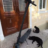 Два самоката 6