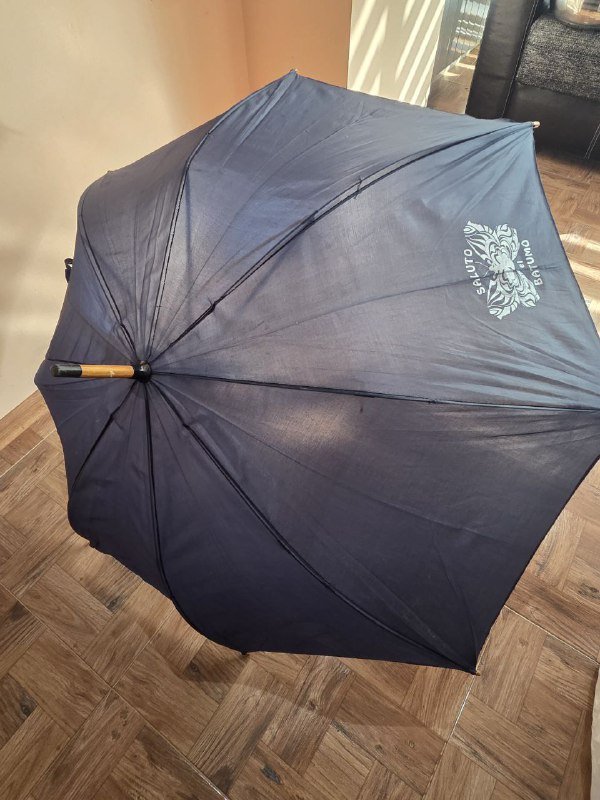 Кеды U.S. Polo Assn.