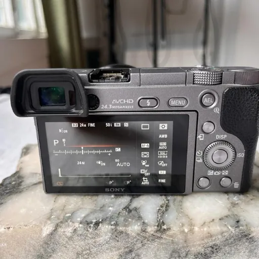 Sony Alpha A6000, объектив 16-50mm OSS