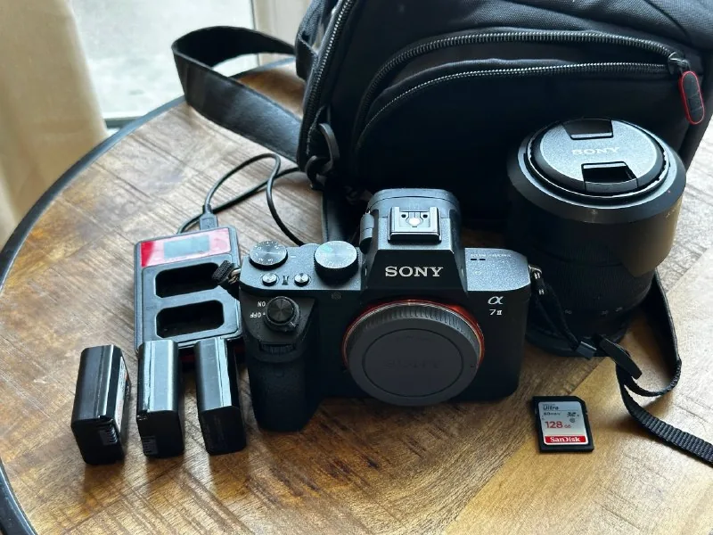 Sony Alpha A7 II, объектив FE 28-70mm 1