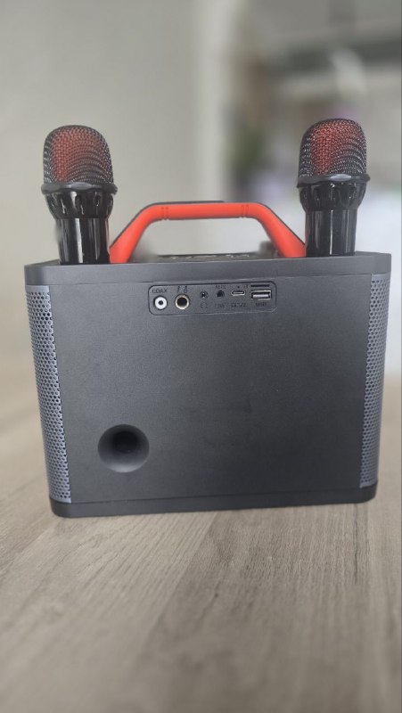 Домашнее караоке, колонки и микрофоны 4