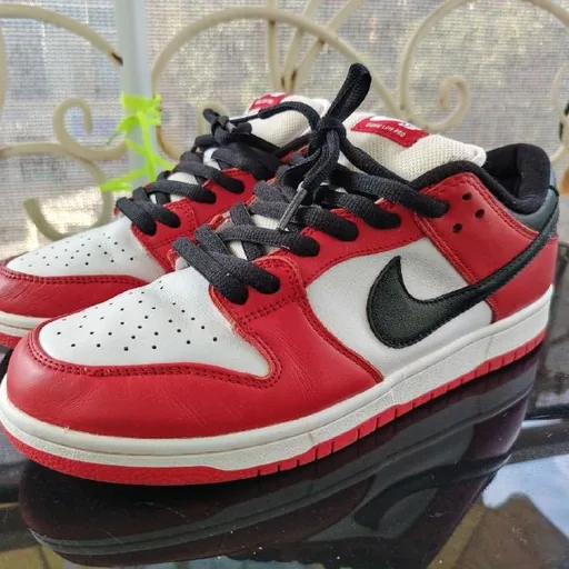 Nike SB Dunk Chicago J-Pack კედები