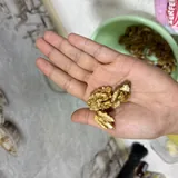 Грецкий орех 1