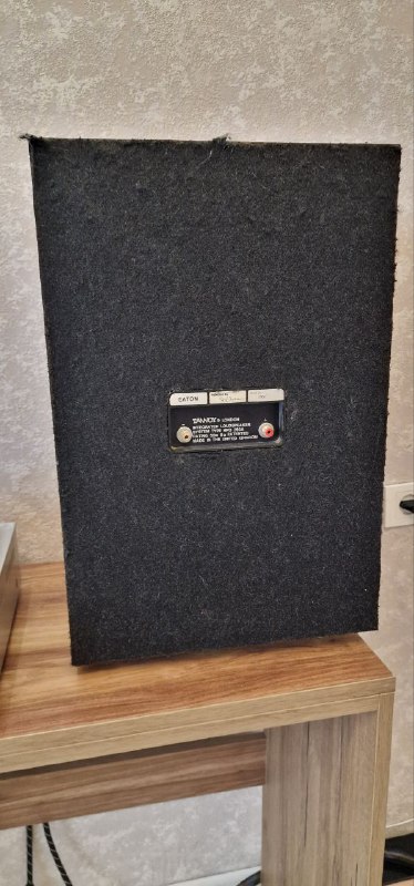 Акустика Tannoy Eaton HPD 295 2