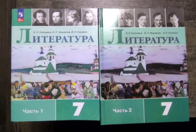 Учебники Русский язык и Литература 6 и 7 класс 4