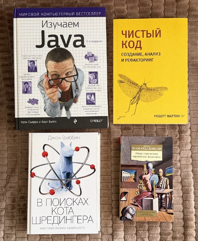 Изучаем Java, Чистый код, В поисках кота шредингера, Мераб Мамардашвили