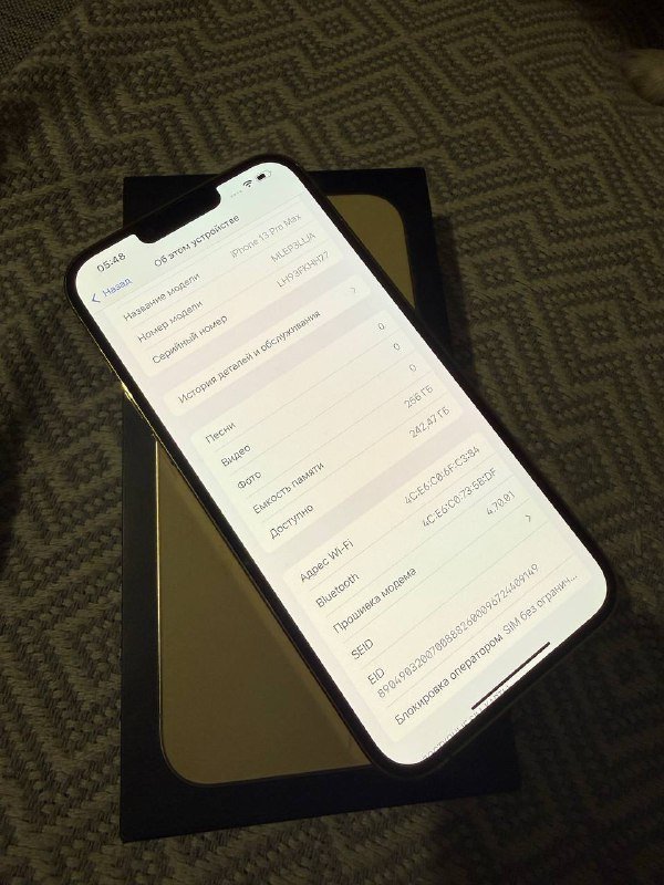 iPhone 13 Pro Max 256gb