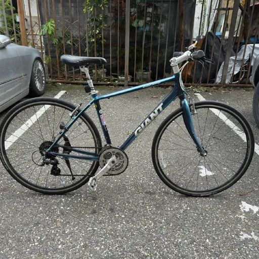 Giant Escape bicycle