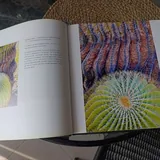 Книга по фотографии «Магия кадра» 2