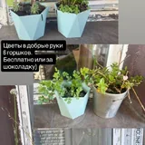 Микроволновка, пылесос, стул, стол, кофемашина 3