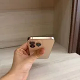 iPhone 16 Pro Max 256 GB 4
