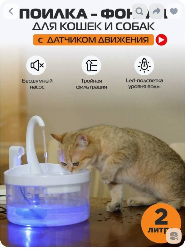 Фонтан-поилка для кошек с датчиком движения 3