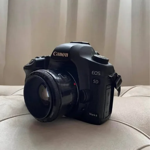 Canon 5D Mark II body