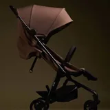 Stroller 1