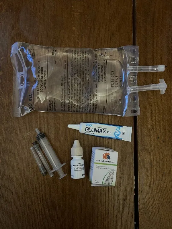 Famciclovir, Glumax, Офтаквикс, шприц, физраствор