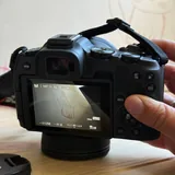 Canon R8, 35mm 1.8 lens 3