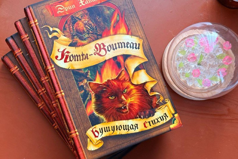 Коты-воители, 4 книги