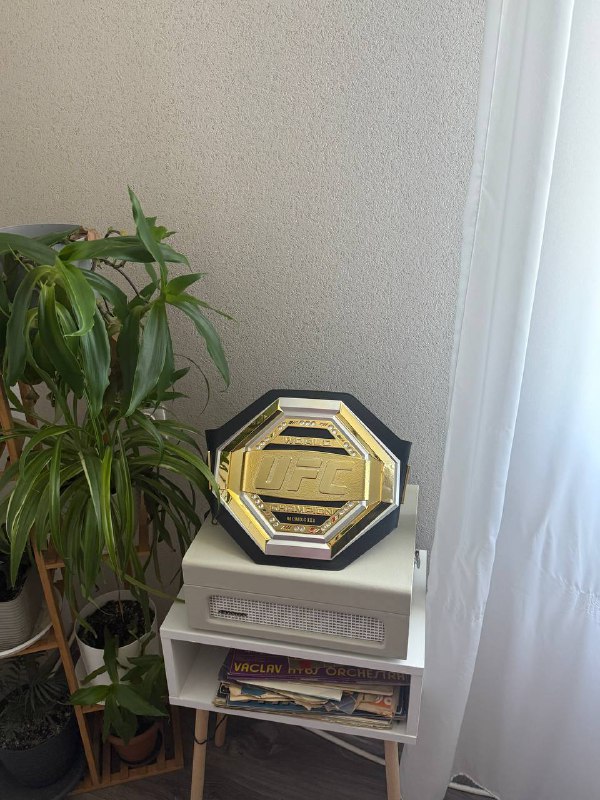 UFC чемпионский пояс 2
