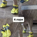 Обувь и носочки для собаки 6