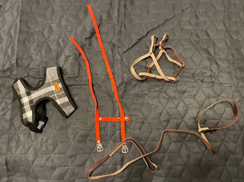 Шлейки для котят XS-S, три штуки