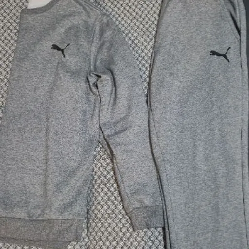 Мужской спортивный костюм Puma
